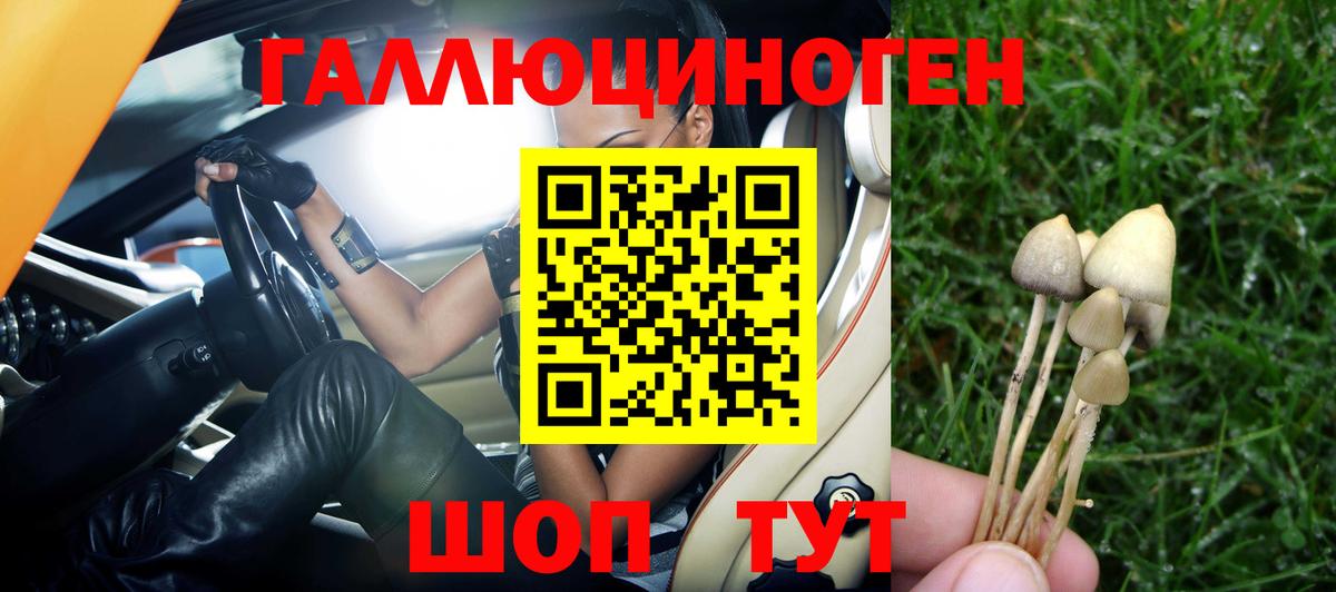 Галлюциногенные грибы Psilocybine cubensis  Псилоцибиновые грибы мухоморы  Вход с VPN  где продают наркотики  Гай 